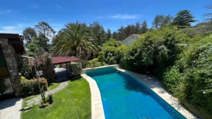 76859DB6-F350-6395-D57F-4ACB6527E858_F65D4EF1-795E-485E-8171-EFD16DC51D31_808_440_2_